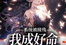 完结版《系统被撞残,我成好命小女娘》免费阅读-书格格
