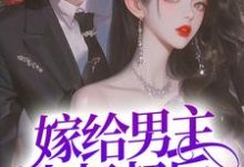 裴宴洲金多多小说嫁给男主小叔叔后，躺赢了在线阅读章节-书格格