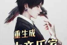 重生成大音乐家小说免费资源,重生成大音乐家在线阅读-书格格