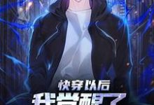 快穿以后,我觉醒了最强“装备栏”小说,快穿以后,我觉醒了最强“装备栏”免费阅读-书格格
