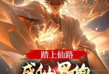 踏上仙路,成仙界的人族最强代表陈玄小说完结版章节在线阅读-书格格