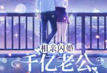 相亲闪婚:千亿老公天天藏马甲小说的免费电子版在哪里可以下载或阅读?-书格格