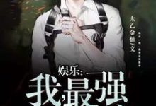 《娱乐：我，最强反派影帝》小说章节列表免费试读，叶缺小说在线阅读-书格格
