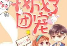 被渣后,我成了团宠章节免费在线阅读,云洛寒盛慕完结版-书格格