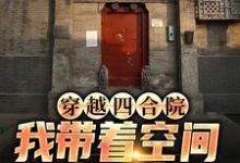 《穿越四合院,我带着空间来致富》小说何雨柱于莉章节章节免费在线阅读-书格格