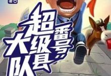 寻找能够免费阅读番号:超级县大队小说的平台-书格格
