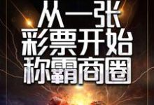 小说《重生后，从一张彩票开始称霸商圈》章节免费阅读-书格格