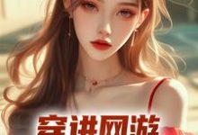 哪里可以免费找到穿进网游,娇妻等我来哄?-书格格