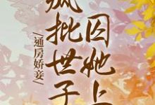 小说《通房娇妾，疯批世子囚她上瘾》在线章节阅读-书格格