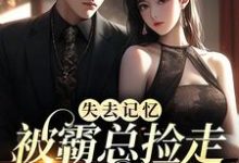 失去记忆,被霸总捡走当女主陆迟晚厉宴行小说在线章节目录阅读最新章节-书格格