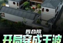 四合院:开局穿成王波,拒绝白嫖小说无弹窗阅读的网站推荐-书格格