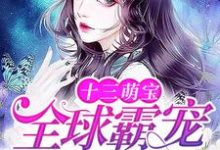 姜棠权湛小说十三萌宝:全球霸宠权太太在线阅读-书格格