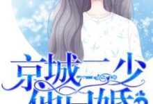 宠妻入骨:京城二少他已婚最新章节,宠妻入骨:京城二少他已婚免费阅读-书格格