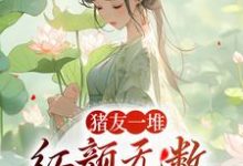 猪友一堆,红颜无数,这叫年少有为裴双郑子林,猪友一堆,红颜无数,这叫年少有为在线无弹窗阅读-书格格
