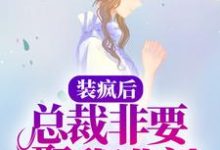 《装疯后，总裁非要娶我进门》小说大结局免费试读 君九司新小说-书格格