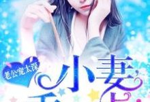 老公宠太深:小妻,乖一点!小说阅读,老公宠太深:小妻,乖一点!完结版-书格格