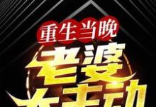 重生当晚,老婆太主动叶尽欢唐仲薇小说完结版章节在线阅读-书格格