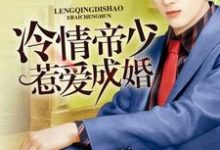求冷情帝少惹爱成婚小说免费资源-书格格