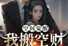 哪里能找到空间觉醒:我搬空财库寻军官小说的最新更新和免费章节?-书格格