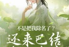 已完结小说《不是把我除名了?还来巴结本妃作甚》章节免费阅读-书格格