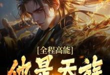 全程高能:他是天族世子小说阅读,全程高能:他是天族世子完结版-书格格