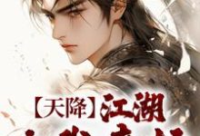 天降:江湖由我来护小说的无弹窗阅读体验,寻找免费阅读网站-书格格