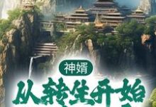 神婿:从转生开始称霸大唐章节免费在线阅读,唐昊李婉清完结版-书格格