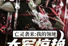 亡灵袭来,我的领地大军惊艳全世界苏恒在线章节免费阅读-书格格