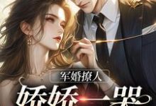 军婚撩人,娇娇一哭,他疯魔了小说最新更新在哪里?免费在线看-书格格