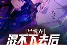 尸魂界混不下去后我称霸全世界刀城绫夜小说完结版章节在线阅读-书格格