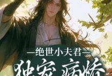 免费看绝世小夫君独宠病娇状元郎小说的网站有哪些?-书格格
