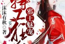 邪王魅宠,特工狂后这本小说在哪里可以看?哪里有免费试读章节?-书格格