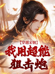 穿越宋朝，我用超能狙击炮免费阅读，穿越宋朝，我用超能狙击炮章节目录