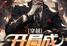 穿越:开局成游戏小怪完整版小说,穿越:开局成游戏小怪罗森-书格格
