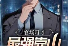 小说《官场奇才：最强靠山竟是我自己》完整版在线章节免费阅读-书格格