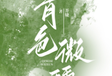 傅青隐宋政小说叫什么（青色微醺完整版免费阅读）-书格格