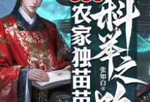 《穿越之农家独苗苗的科举之路》小说章节在线试读，《穿越之农家独苗苗的科举之路》最新章节目录-书格格