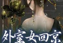 外室女回京，权贵齐折腰叶眠景珩，外室女回京，权贵齐折腰章节在线阅读-书格格