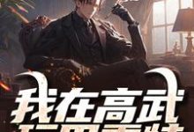 路尽小说我在高武玩巴雷特,一枪打破光年章节免费阅读-书格格