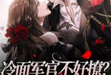 冷面军官不好撩?我用千万砸他小说无弹窗阅读的网站推荐-书格格