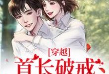求穿越:首长破戒狂宠娇娇小说的全文免费阅读链接-书格格