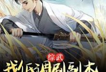 小说《综武:我低调刷副本,入世即无敌》完整版在线章节免费阅读-书格格