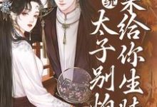 系统：太子别怕，我来给你生娃了（许锦意）完整版在线免费阅读-书格格