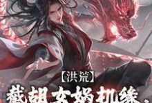 燧人氏叶祟仁完整版《洪荒：截胡女娲机缘，我来补天！》小说免费阅读-书格格