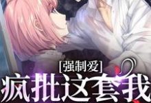 在线寻找强制爱？疯批这套我有防御装小说的无删减版本-书格格
