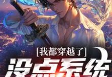 我都穿越了,没点系统那对吗小说无弹窗阅读的网站推荐-书格格