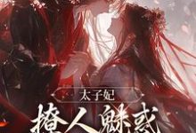 小说《太子妃撩人魅惑,太子纵情坠落》完整版在线章节免费阅读-书格格