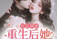 完结版《报告总裁!夫人她重生后立马退婚了》章节阅读-书格格