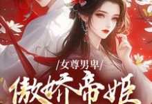 女尊男卑:傲娇帝姬想做女帝小说的无弹窗阅读体验,寻找免费阅读网站-书格格