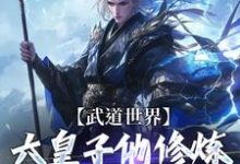 免费在线阅读武道世界:六皇子他修炼修成逆子啦小说的正规网站有哪些?-书格格